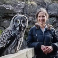 «La sabiduría de los búhos. Una historia natural de las aves más enigmáticas del mundo», de Jennifer Ackerman