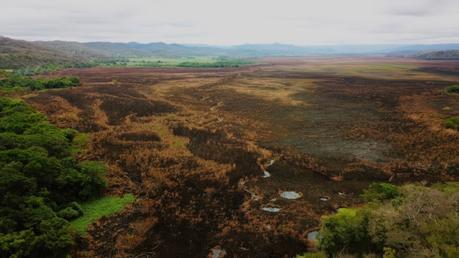 Evaluación de daños y recuperación tras incendio en la ciénega de «Cabezas» en Tamasopo