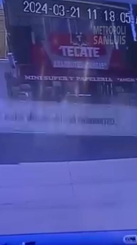 (video) Denuncian en redes la agresión a un perro en María Cecilia: un vecino le disparó