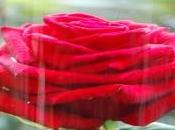 Amar realizarse, amado recompensa