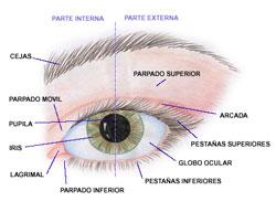 Cuidado y maquillaje de ojos