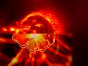 Cultivan semillas campos magnéticos galácticos