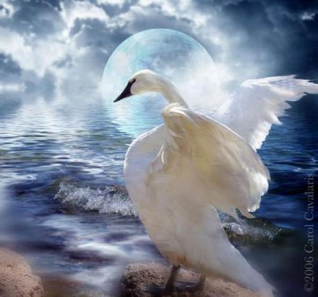 Hosted by imgur.com 30 hermosas obras artísticas de Animales por Carol Cavalaris