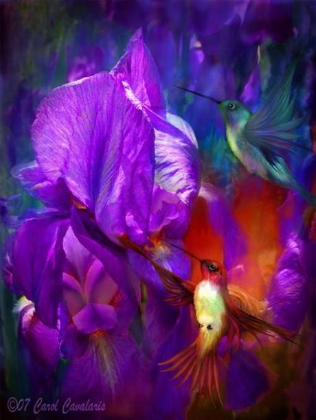 Hosted by imgur.com 30 hermosas obras artísticas de Animales por Carol Cavalaris