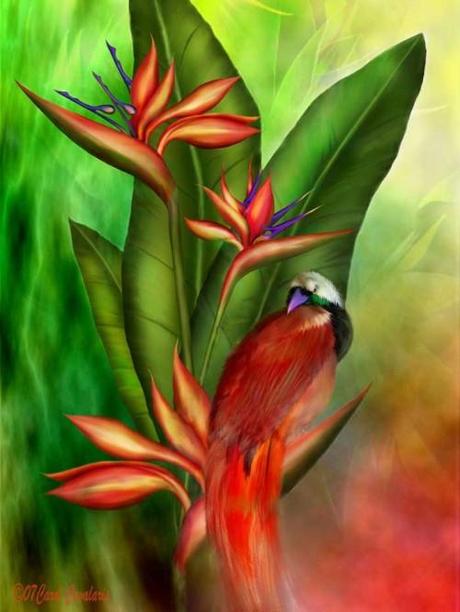 Hosted by imgur.com 30 hermosas obras artísticas de Animales por Carol Cavalaris