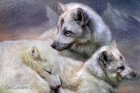 Hosted by imgur.com 30 hermosas obras artísticas de Animales por Carol Cavalaris