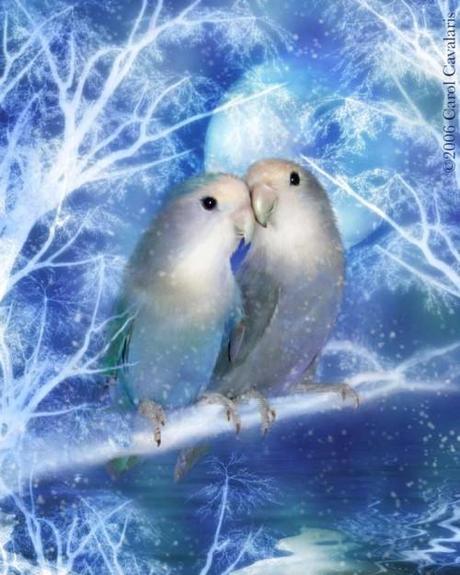 Hosted by imgur.com 30 hermosas obras artísticas de Animales por Carol Cavalaris