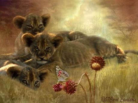 Hosted by imgur.com 30 hermosas obras artísticas de Animales por Carol Cavalaris