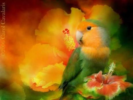 Hosted by imgur.com 30 hermosas obras artísticas de Animales por Carol Cavalaris