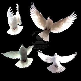 Lie Zi y la sabiduría china