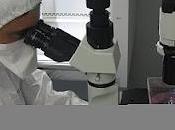 Balance 2011 Hospital Regional Málaga