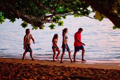 Los Descendientes (The Descendants)