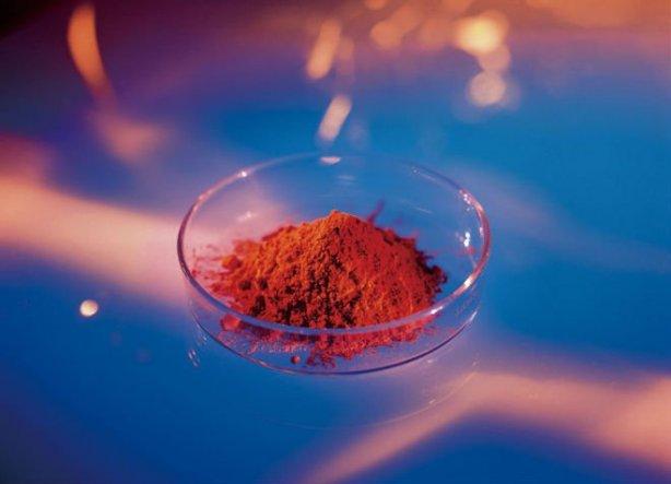 Antiinflamatorio natural, el Pignogenol