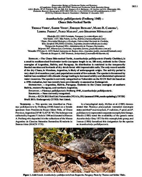 Trabajo de Investigación publicado recientemente (2012): Acanthochelys pallidipectoris (Freiberg 1945), chaco side-necked turtle…