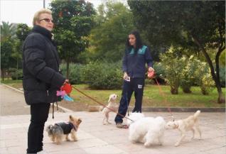 Los vecinos que pasean a sus perros en el parque de Benicalap están indignados por lo sucedido. 