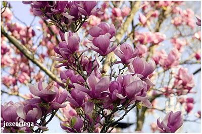 Cantabria en fotografias