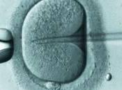 Querer hijo poder: tratamientos fertilidad consecuencias