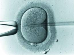 Querer un hijo y no poder: tratamientos de fertilidad y sus consecuencias Querer un hijo y no poder: tratamientos de fertilidad y sus consecuencias