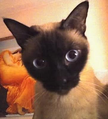 Pretty Things on Sunday