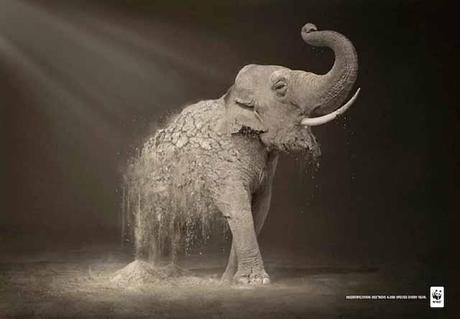 Campaña WWF contra la desertificación