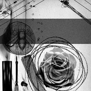 Demdike Stare - Elemental Part Three: Rose (Modern Love , 2012)