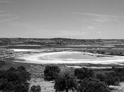 Agentes para Protección Naturaleza Gobierno Aragón contribución estudio Ferula loscosii (Lange) Willkomm.