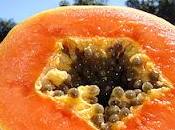 Hoy, papaya