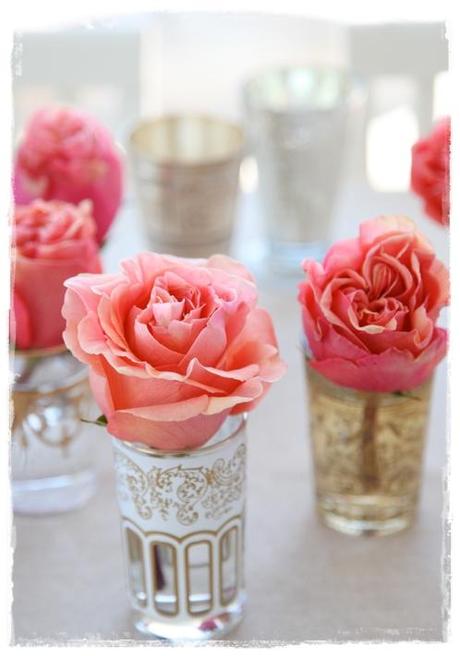 Vasitos de té Vasitos de té