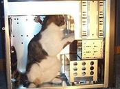 Otakufreaks vuelve estar online