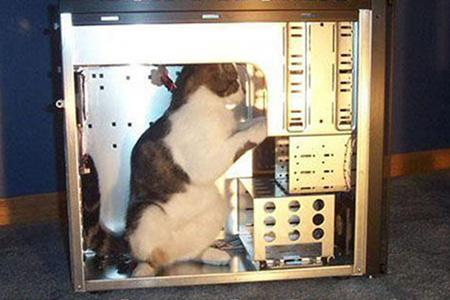 gato informatico1 Otakufreaks vuelve a estar online