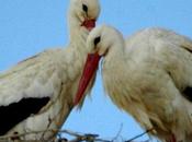 tiempo loco make ever