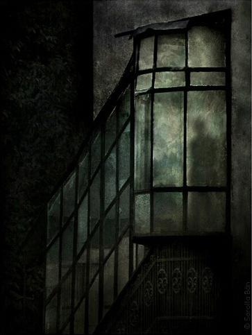 Sarolta Bán - Fotocomposicón