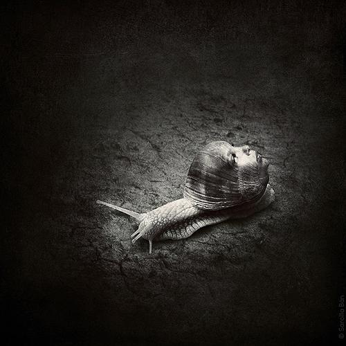 Sarolta Bán - Fotocomposicón