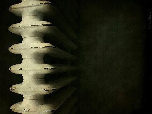 Sarolta Bán - Fotocomposicón