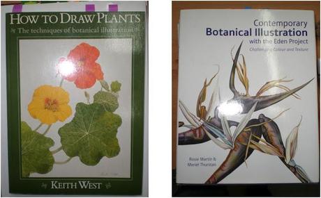 Libros sobre Dibujo Botánico