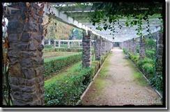 Parque_Labordeta (28)_thumb[1]