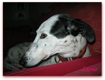 ¿Guapos? o feos....