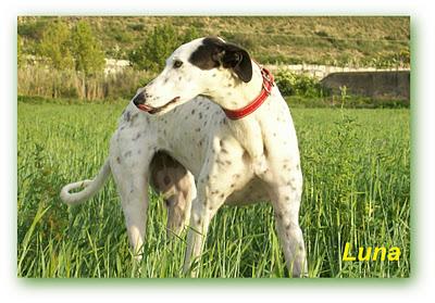 ¿Guapos? o feos....