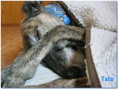 ¿Guapos? o feos....