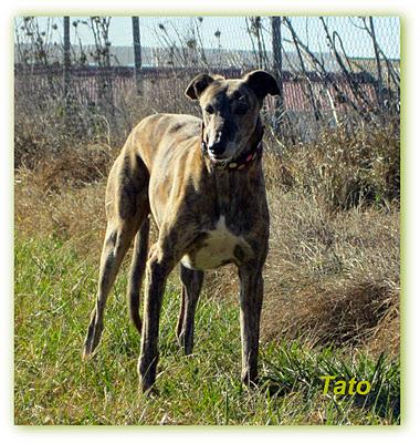 ¿Guapos? o feos....