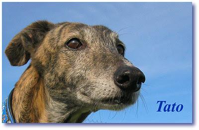 ¿Guapos? o feos....