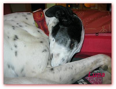 ¿Guapos? o feos....