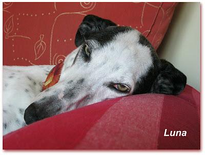 ¿Guapos? o feos....