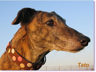 ¿Guapos? o feos....