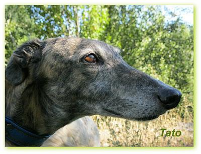 ¿Guapos? o feos....