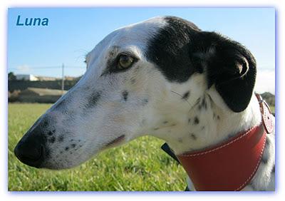 ¿Guapos? o feos....