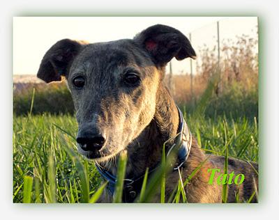 ¿Guapos? o feos....