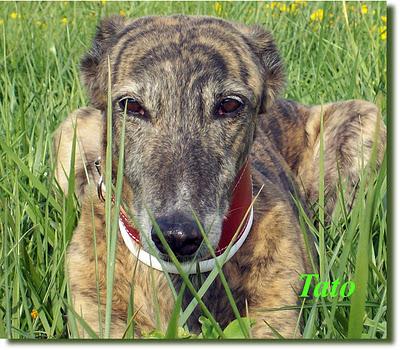 ¿Guapos? o feos....