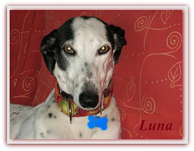 ¿Guapos? o feos....