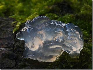 Lluvia de gelatina en Inglaterra